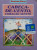 Capa do livro Cabeça-de-Vento, Coração Atento