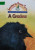 Capa do livro A graúna