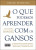 Capa do livro O que podemos aprender com os gansos