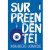 Capa do livro Supreendente!