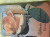Capa do livro Eflúvio salutar