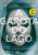 Capa do livro A garota do lago