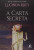 Capa do livro A carta secreta