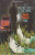 Capa do livro O pirotécnico Zacarias