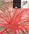 Capa do livro O beija-flor de topete