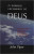 Capa do livro O sorriso escondido de Deus