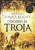 Capa do livro O incêndio de Tróia