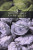 Capa do livro 5 Perspectivas sobre a Santificação