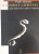 Capa do livro O homem e a serpente