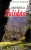 Capa do livro Conviventes da solidão