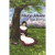 Capa do livro Mary Jones e sua Bíblia