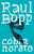 Capa do livro Cobra Norato