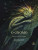 Capa do livro O Gnomo