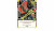 Capa do livro Contos ao redor da fogueira