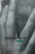 Capa do livro Chico Buarque do Brasil