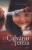Capa do livro O Calvario de Tereza