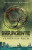Capa do livro Insurgente