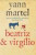 Capa do livro Beatriz & Virgílio