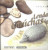 Capa do livro Lendas gaúchas volume 4