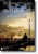 Capa do livro Um milionário em Lisboa