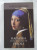 Capa do livro Rapariga com brinco de pérola