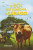 Capa do livro O Boi que Guardava o Sábado