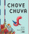 Capa do livro Chove Chuva