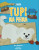 Capa do livro Tupi na Feira