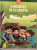Capa do livro A Incrível Descoberta