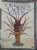 Capa do livro Os seres vivos