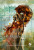 Capa do livro Corrente de ouro de Cassandra Clare.
