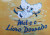 Capa do livro Mel e o Livro Dourado