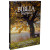 Capa do livro Bíblia Sagrada NAA