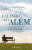 Capa do livro Falando com o além