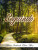 Capa do livro Seguindo