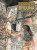 Capa do livro Druuna volume 1