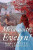 Capa do livro Meia noite, Evelyn!