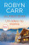 Capa do livro Um adeus no inverno
