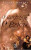 Capa do livro O Gigante OBrien