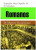 Capa do livro Fé salvadora