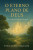 Capa do livro O Eterno Plano de Deus