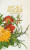 Capa do livro Amor e amizade