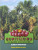 Capa do livro Buritizeiro