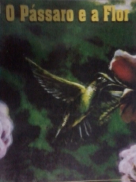 Capa de O pássaro e a flor - Minita; Gutemberg