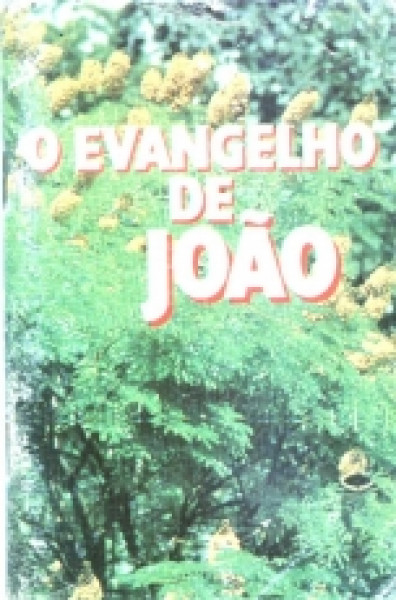 Capa de O Evangelho de João parafraseado - 