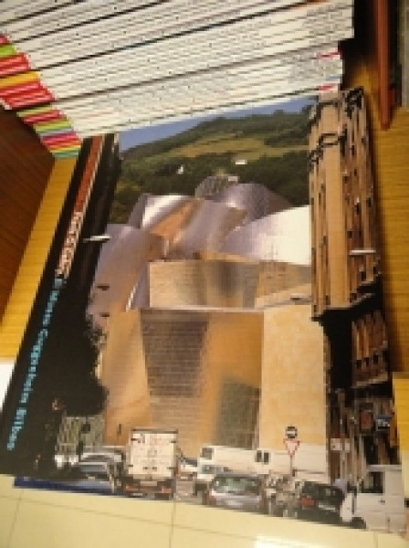Capa de Frank O. Gehry - 