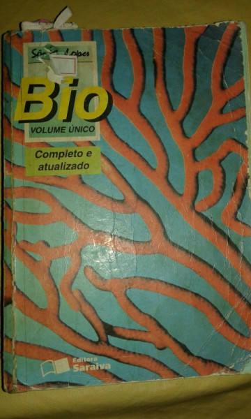 Capa de Bio - Sônia Lopes