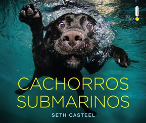 Capa de Cachorros submarinos - Seth Casteel