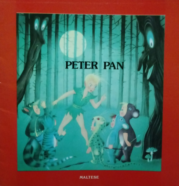 Capa de Peter Pan - Darly Nicollanna