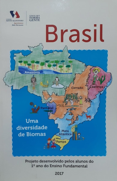Capa de Brasil - Colégio Santo Agostinho